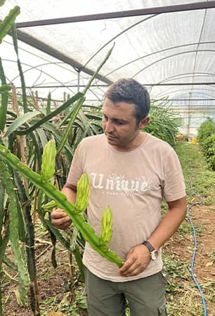Erdal YAVUZ