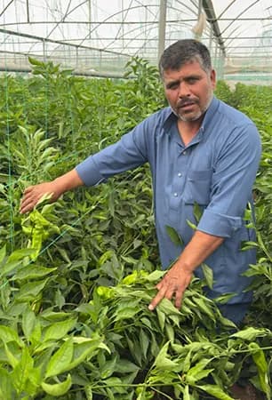 Mehmet TAŞ